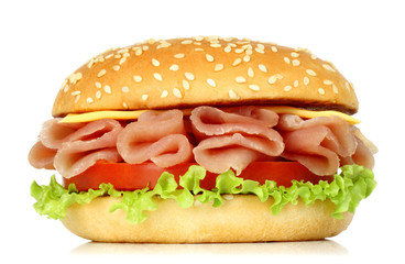 Big burger with twisted meat