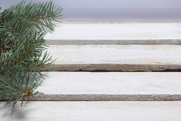 Blue spruce branches on a wooden box of boards, painted in white.