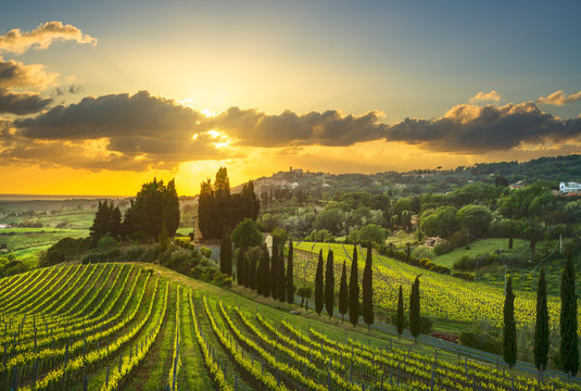 Fototapeta Casale Marittimo village, vineyards and landscape in Maremma. Tuscany, Italy.