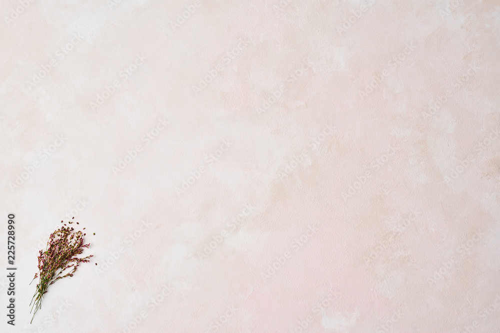Wall mural wild flowers on rose and white texture pattern background with high resolution. copy space.