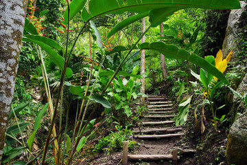 Tropical landscape on Isla Grande, Rosario Archipelago, Colombia, South America