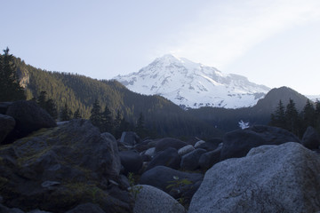 Fototapeta premium Early morning light on Mount Rainier. May 2017.