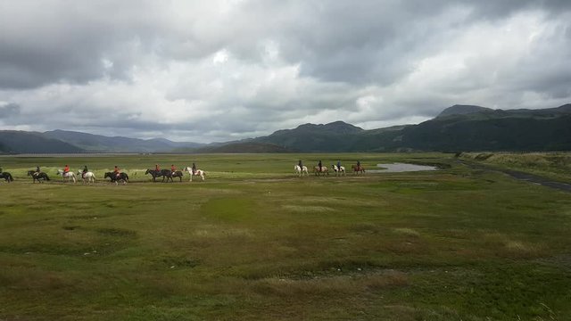 Welsh mountain pony trekking and horse riding in Fairbourne, Wales.