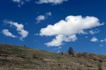  Mountain landscape in the area of the river Yarlyamry. Mountain Altai.Siberia. Russia