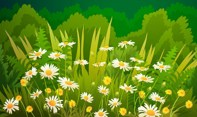 Dandelions and daisies flowers with grass and green bushes for background. Vector illustration.