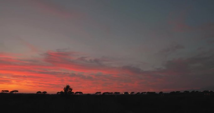 Tramonto rosso fuoco dietro delle siepi