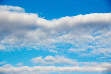 Fototapeta premium Snow-white light cumulus clouds against a blue sky