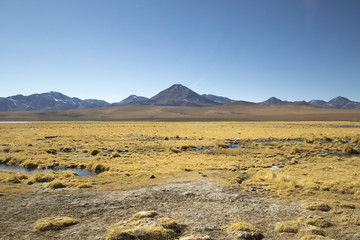 Atacama Volcano