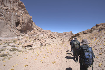 Trekking Gato Andino