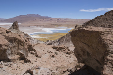 Laguna Gato Andino II