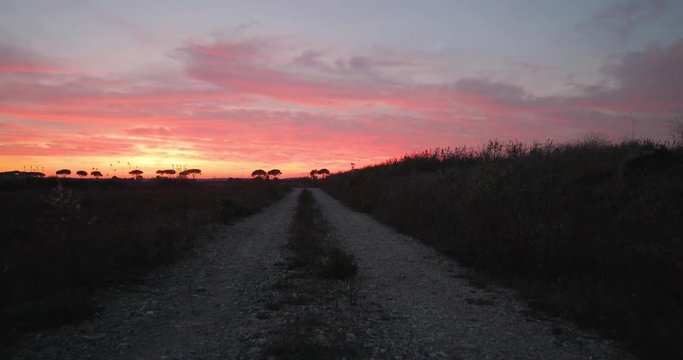Tramonto rosso fuoco dietro delle siepi