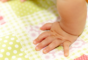 Baby. Hands. Body Part. Colorful Floor