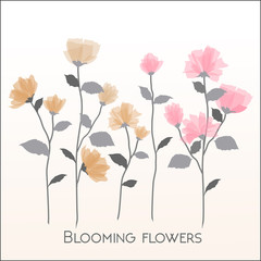 Set of soft pink floral vector and garden flowers, botanical natural flowers blossom Illustration on white.