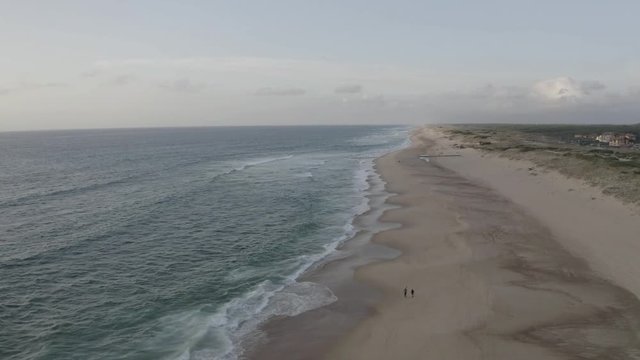 DJI Mavic Pro2 D-Log M Picture Profile