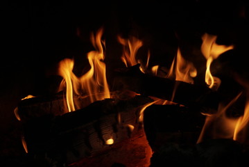 Fire flames on dark background 