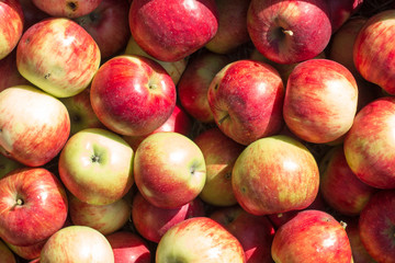 box of red apples