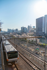 Fototapeta premium Cherry blossom around Sotobori Park, Tokyo, Japan. Sotobori Park is famous Cherry blossoms spot that follows along the outer moat of the JR Chuo-Line, Sobu-Line from Iidabashi station to Yotsuya stati