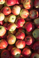 box of red apples