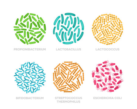 Set of probiotic bacteria in a circle. Good microorganisms colorful concept isolated on white background. Propionibacterium, lactobacillus, lactococcus, bifidobacterium, streptococcus thermophilus