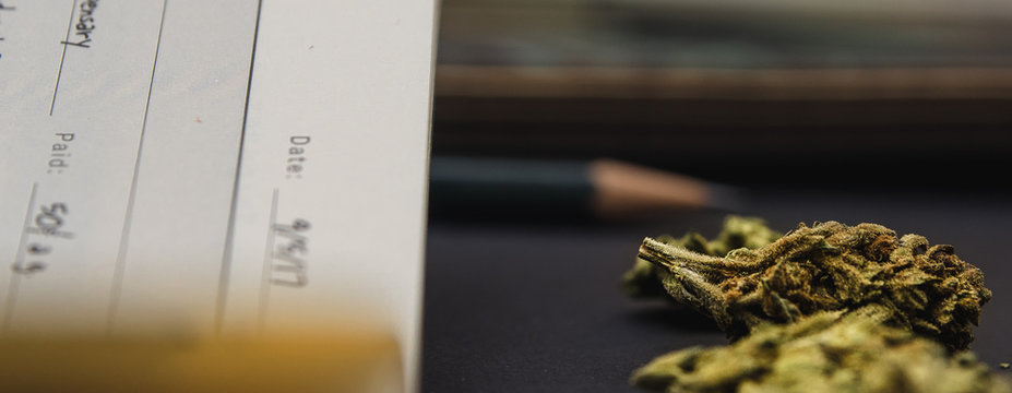 Side view of notebooks, pencil and cannabis buds on black table