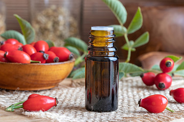 A bottle of rosehip seed oil with fresh rosehips