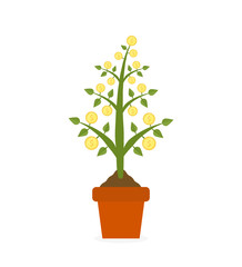 Growing money tree with gold coins in ceramic pot. Symbol of success, wealth and power. Finance and banks, savings and investments, business concept presentations on white background.