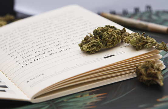 Close up cannabis heads on book page, joint in background