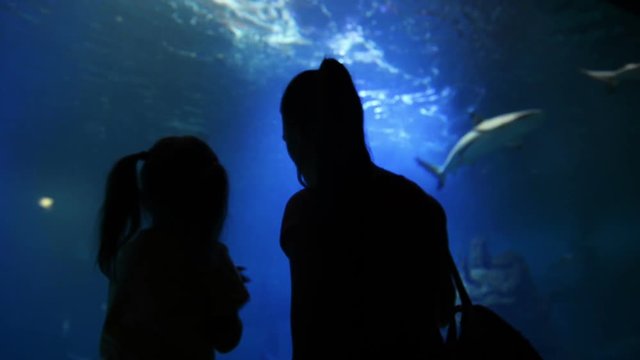 Mother With Cutie Kid Are Visiting Oceanarium on Mothers Day. The Mother Shows Girl This Beautiful and Interesting World.