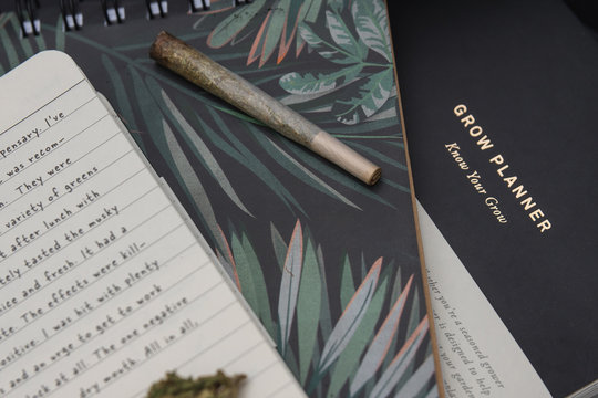Close up cannabis joint and bud on notebook, diary and planner