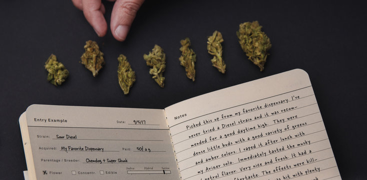 Hand arranging marijuana near book