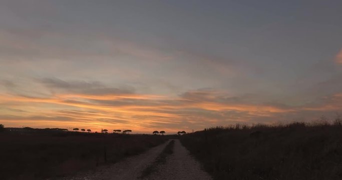 Tramonto rosso fuoco dietro delle siepi