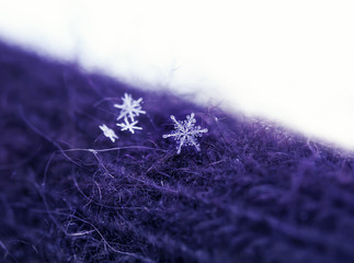 beautiful carved cold iridescent snowflakes lie on warm knitted clothes in the winter park