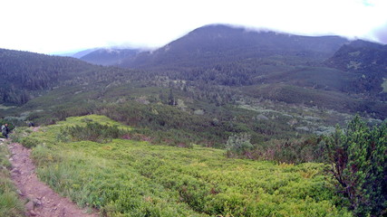 The Carpathian Mountains. Montenegrin Range. The national biosphere reserve of Hoverla.