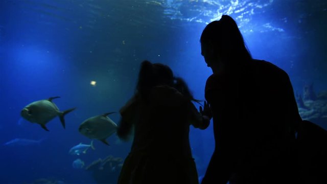 Mother With Cutie Kid Are Visiting Oceanarium on Mothers Day. The Mother Shows Girl This Beautiful and Interesting World.