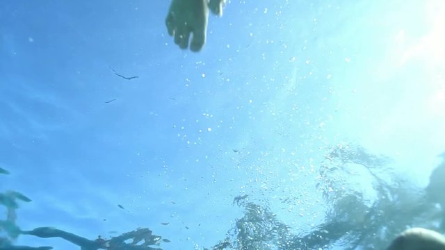 Loop of Group of kids swimming underwater