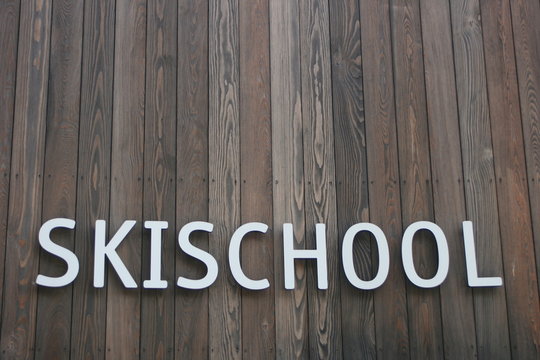 Skischool, Skischule