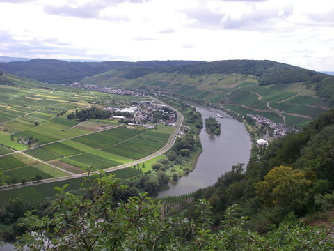 Panorama &Uuml;rzig Moselschleife