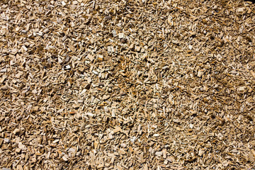 Sawdust background texture. Saw sawing surface. Cut work log. Brown construction board