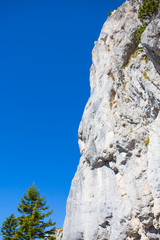 Fir green trees against a blue sky background, vertical. Narrow mountain path or trail in summer. Fir green trees on a cliff