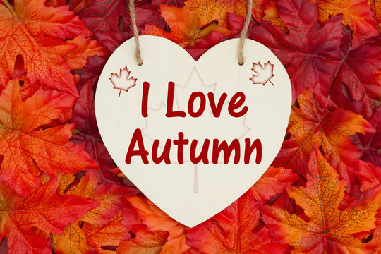 I love Autumn message with fall leaves
