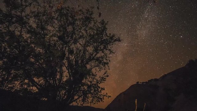 Galaxy Milky Way Star Timelapse Mountains Tree