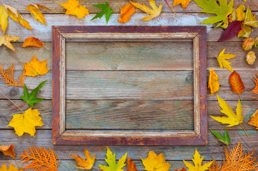 autumn composition. bright autumn leaves and picture frame on a wooden background with copy space. mock up for text, congratulations, phrases, lettering