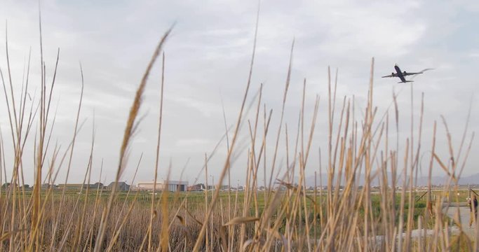 aereo in decollo visto da dietro le siepi