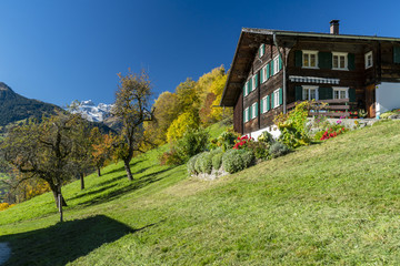 Fototapeta na wymiar Herbst in den Alpen