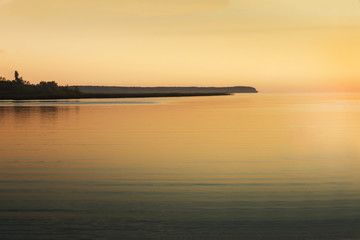 Reed on the background of a sunset