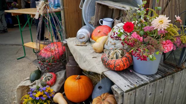 Germany. Lich Hesse. Pumkin Vestival. Pumpkin on the background of old rustical equipment