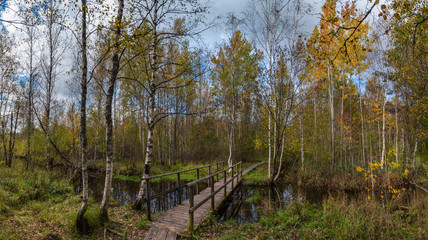 bridge over the creek in autumn