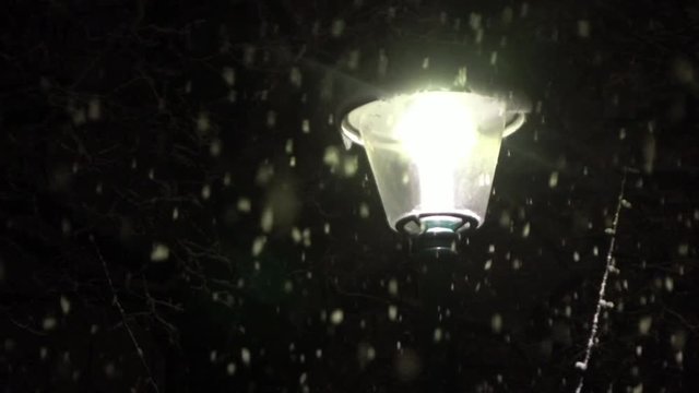 Loop of CLOSE UP: Lonely street lamp illuminating park during heavy snowfall by night