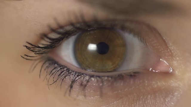 Loop of SLOW MOTION: Contraction of the pupil