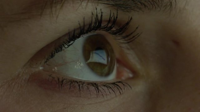 Loop of CLOSE UP MACRO: Detail of brown female eye scanning through the document on the screen. Eyeball reflecting glowing screen and charts on the desktop on computer monitor. Woman accountant analysing data